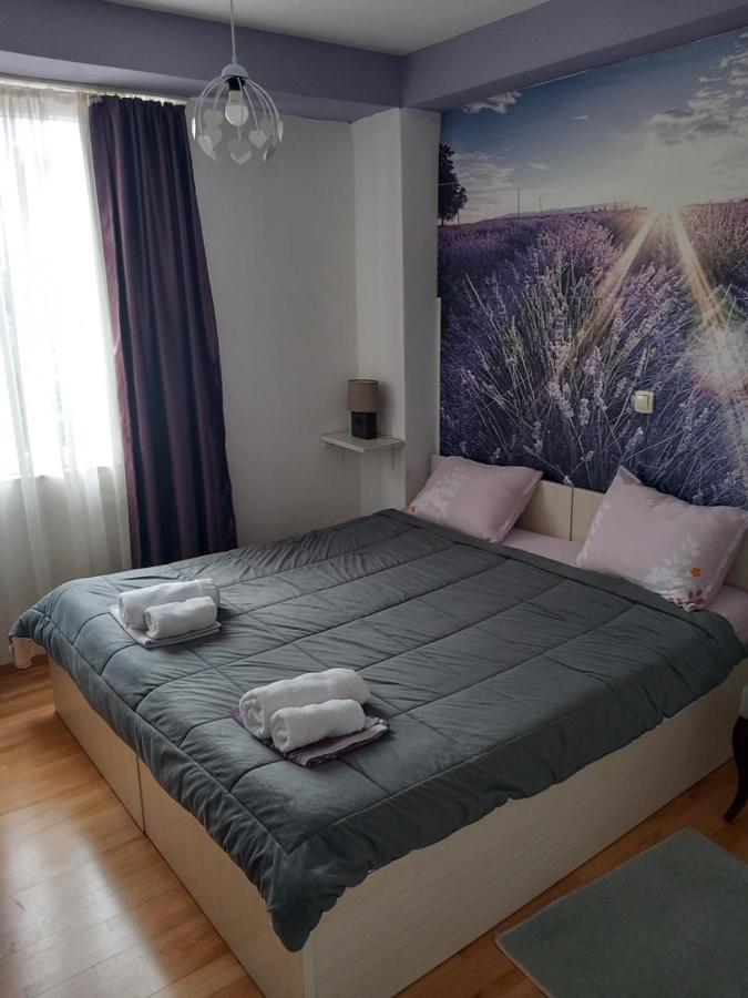 City Apartment Apartment *